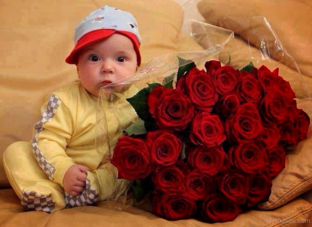 red rose baby