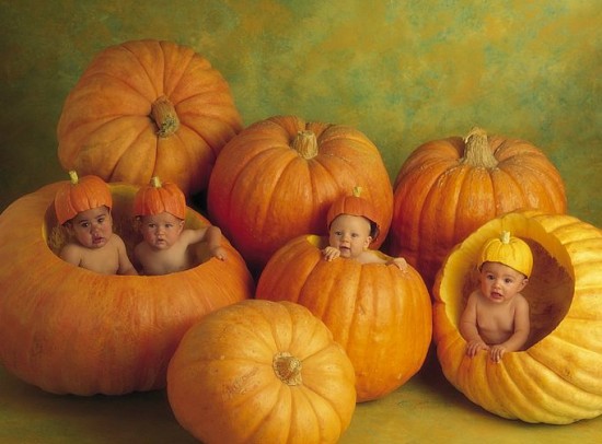 Babies In Pumpkins