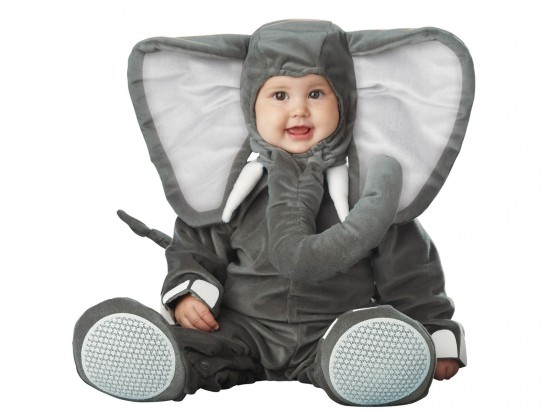 Elephant Baby