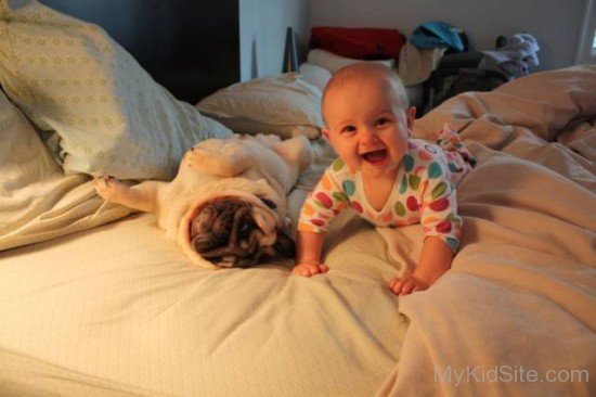 Cute Baby With Funny Dogs