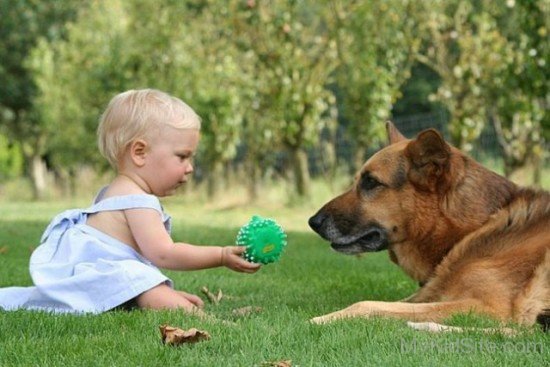 Dog And Baby Best Friend