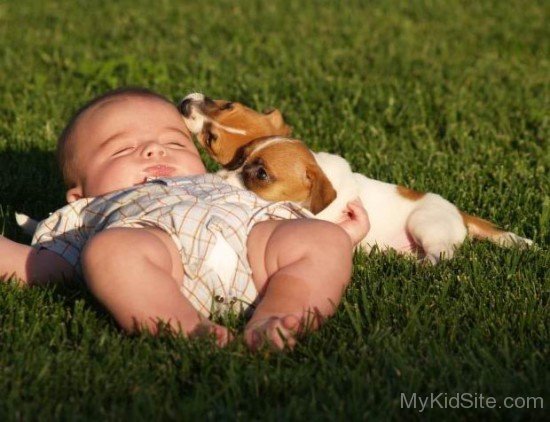Funny Dogs And Babie Best Friends Forever