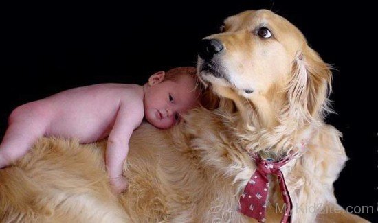 Baby Laying On Dog